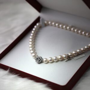 Jewelry & Small Items